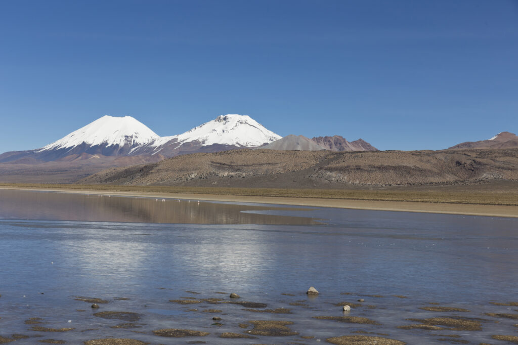 A Guide to Jungle and Pampas Tours in Bolivia