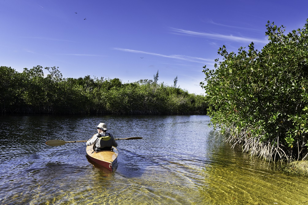 Florida Everglades