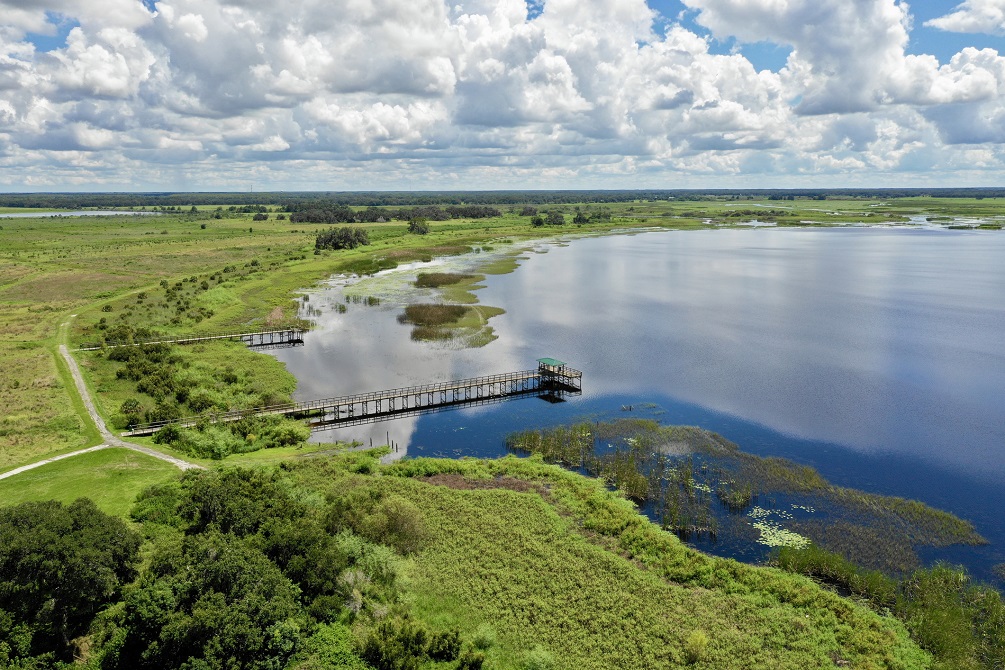 View of the Everglades in Florida